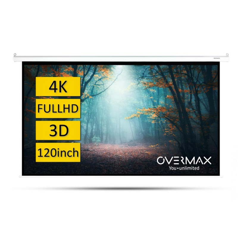 Écran de projection HD 100 16:9 - Écran de projection portable pliable avec crochet et corde - Pour la maison, l'école, les réunions, le camping, le home cinéma (8 trous