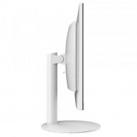 Pc De Bureau Tout En Un MSI Pro AP241 11M Pentium Gold  4Go 128Go SSD Blanc (9S6-AE0312-636)