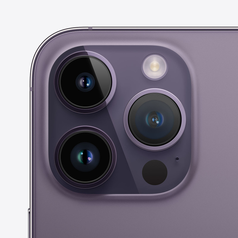 IPhone 14 Pro Max Débloqué 256Go - Gris Sidéral - Occasion état Correct