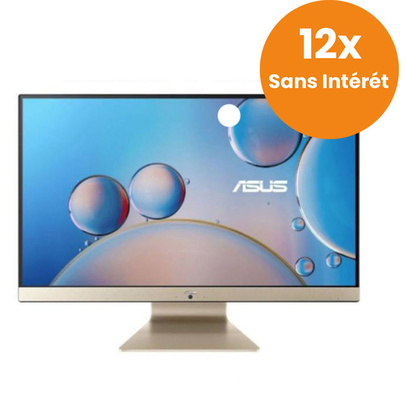 Pc De Bureau Tout En Un Asus Vivo AMD Ryzen 5 8Go 1To +128 Go SSD (M3700WUAK-BA022W)