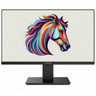 Ecran Redragon Thugga 22" FHD 75Hz - Noir