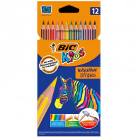 Pack Scolaire Bic
