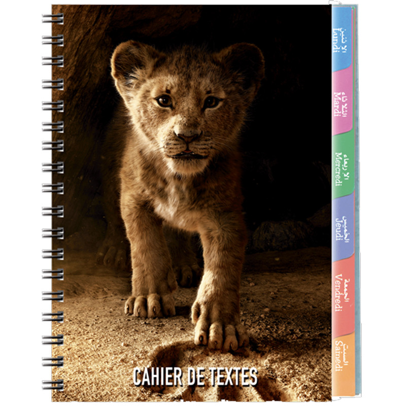Cahier De Texte Disney Yamama 94P 90GR