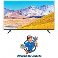 Téléviseur Samsung 65" Série 8 AU8000 Crystal UHD 4K Wifi (UA65TU8000U) Téléviseur Samsung 65" Série 8 AU8000 Crystal UHD 4K Wifi (UA65TU8000U)