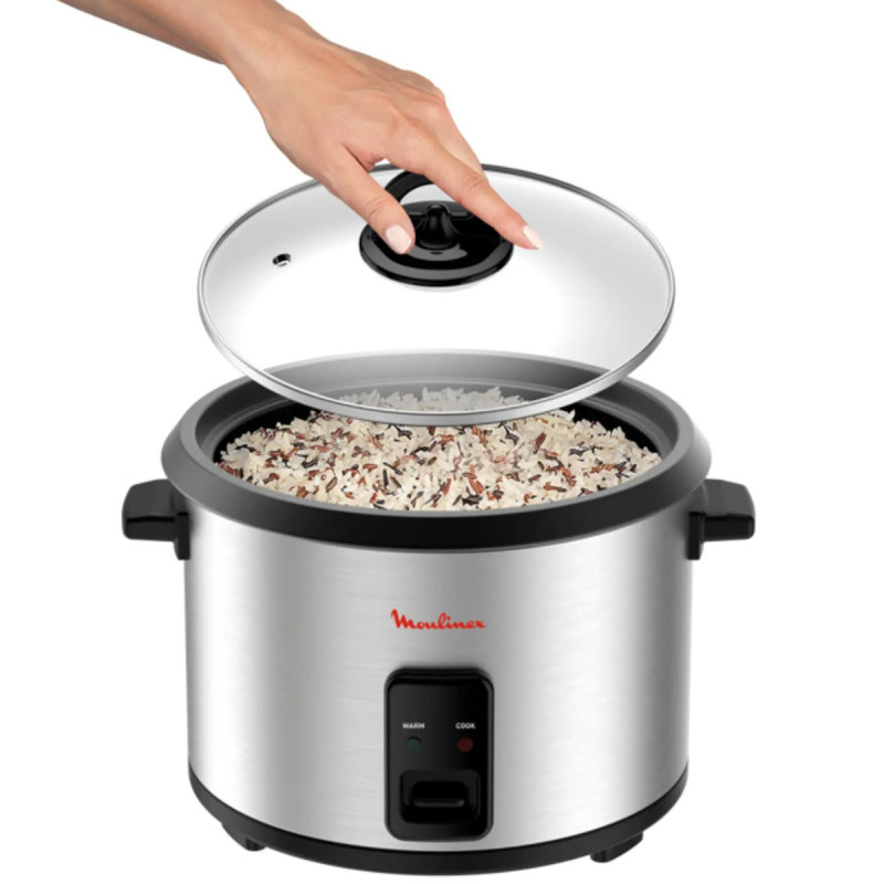 Cuiseur à Riz Moulinex MK123D10 1.8 L 700W Chrome