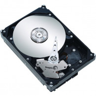 Disque Dur Interne Seagate Barracuda 7200.9 SATA 160 Go - Reconditionné