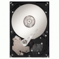Disque Dur interne SEAGATE 160Go 3.5'' ST3160813AS - Reconditionné