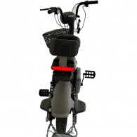 Scooter Électrique Wolf Roma X2 350W Vert & Rose en Tunisie Scooter Électrique Wolf Roma X2 350W Vert & Rose en Tunisie