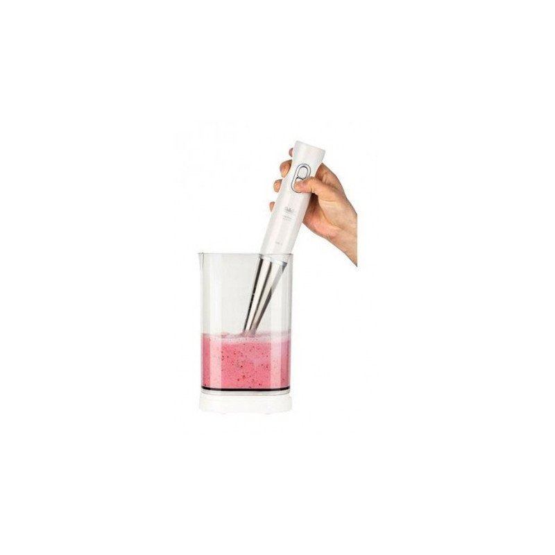 Mixeur Plongeant Fakir Mixwell - 1000 W