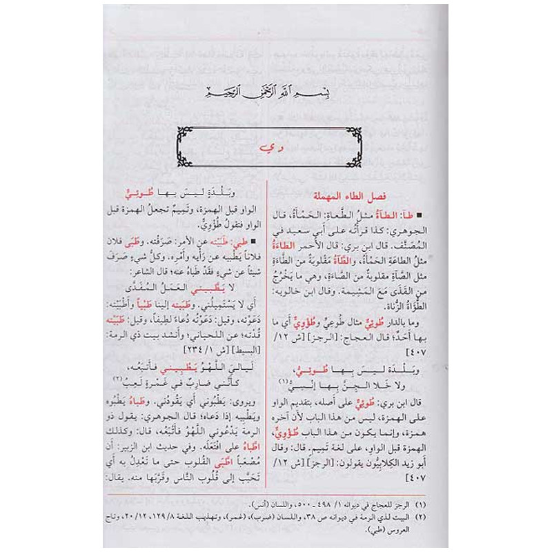 Livre Lisan Al Arab en Tunisie