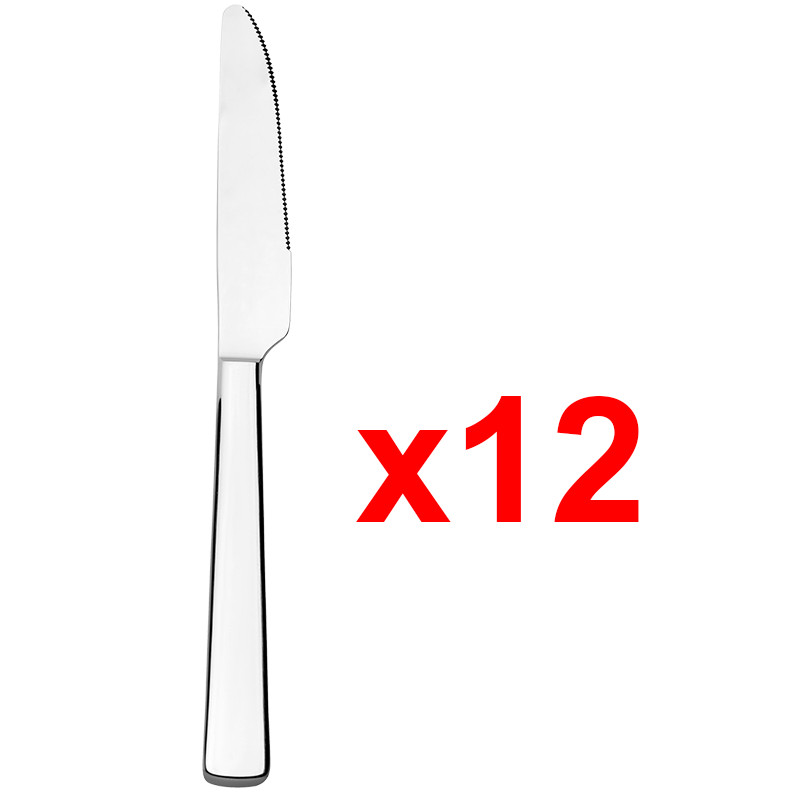 Etui Couteaux De Table Winox Zephir 12 Pièces Inox en Tunisie
