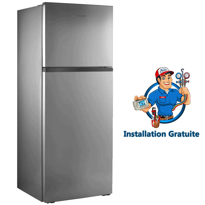 Réfrigérateur Brandt 531 Litres Defrost Silver (BDE6210BS)