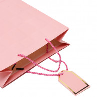 Sac Cadeau en Carton SOC65-14 Moyen Modèle Rose en Tunisie Sac Cadeau en Carton SOC65-14 Moyen Modèle Rose en Tunisie