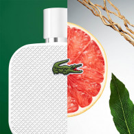 Lacoste Men L12.12 Blanc Eau de Parfum Homme 100Ml en Tunisie Lacoste Men L12.12 Blanc Eau de Parfum Homme 100Ml en Tunisie