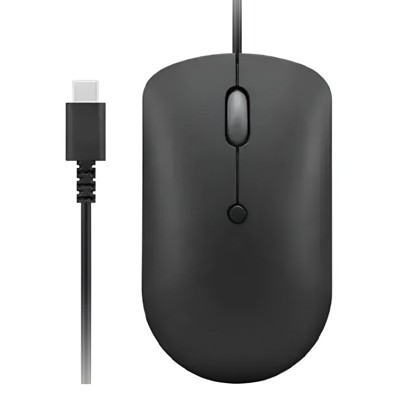 Souris Filaire Lenovo GY51D20875 Compact 400 - Noir