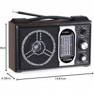 Radio Fm Bluetooth Yuegan LT2008 Marron en Tunisie