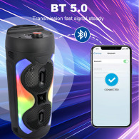 Haut Parleur Bluetooth ZQS6232 20W Noir