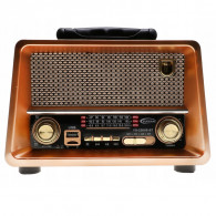 Radio Fm Bluetooth Yuegan YG225BT Gold Bois