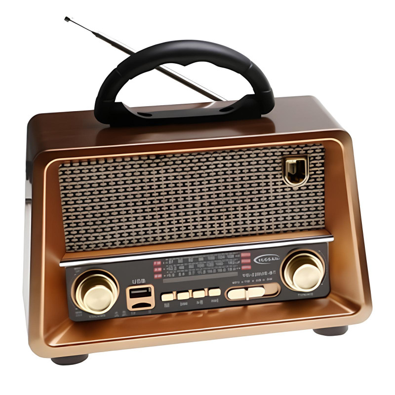 Radio Fm Bluetooth Yuegan YG225BT Gold Bois en Tunisie