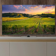 TV Thomson 43" 43QG5C14 QLED Google Tv Noir en Tunisie TV Thomson 43" 43QG5C14 QLED Google Tv Noir en Tunisie