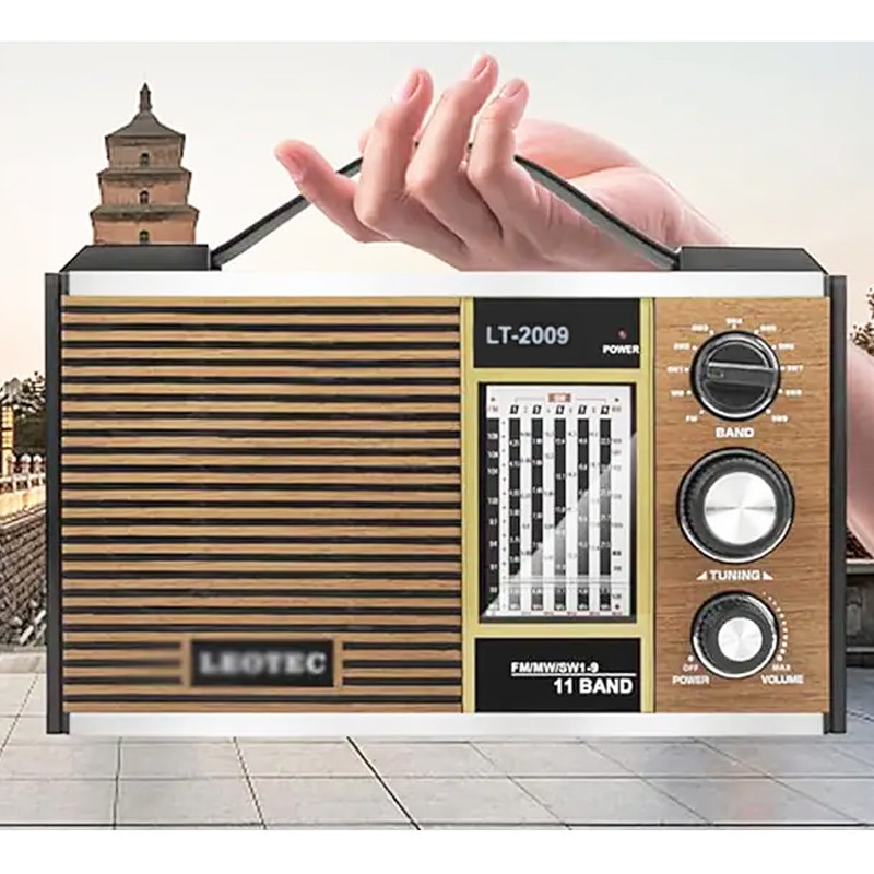 Radio Fm Bluetooth Yuegan LT2009 Bois en Tunisie
