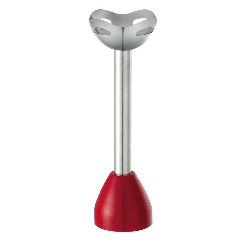 Mixeur Plongeant Russell Hobbs Desire 500W Rouge en Tunisie