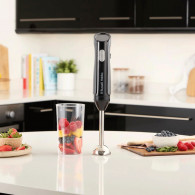 Mixeur Plongeant Russell Hobbs Desire 500W Noir en Tunisie Mixeur Plongeant Russell Hobbs Desire 500W Noir en Tunisie