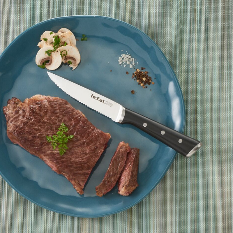 Kit De 3 Couteaux à Steak TEFAL Ice Force Noir en Tunisie