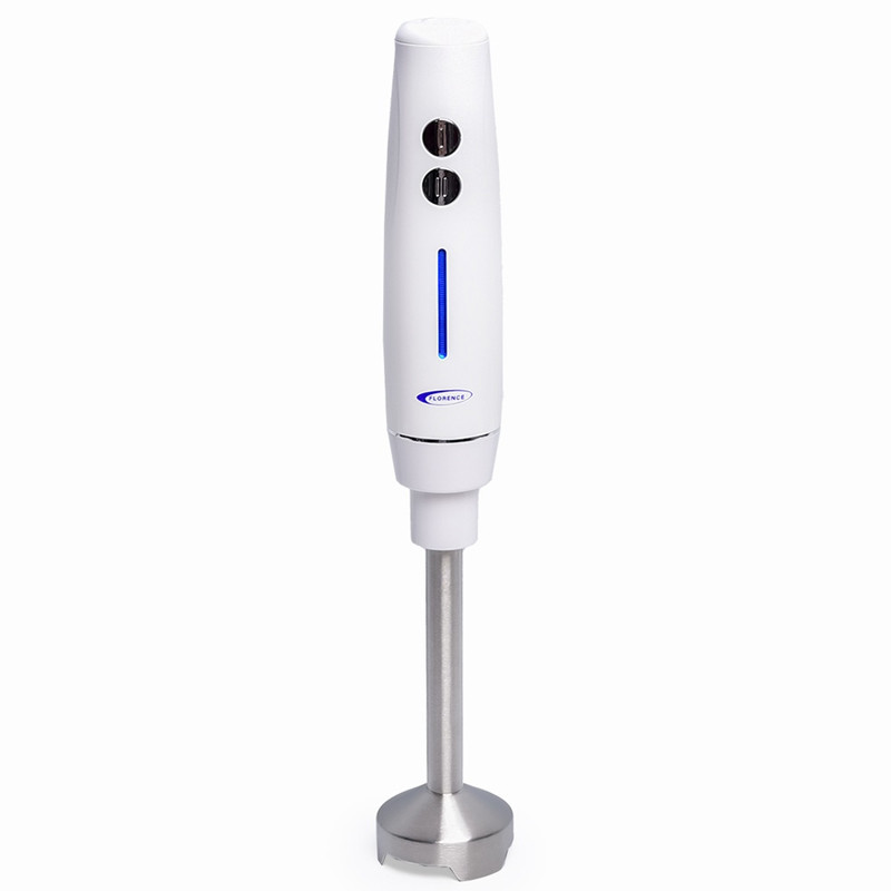 Mixeur Plongeant Florence HK404 250W Noir en Tunisie