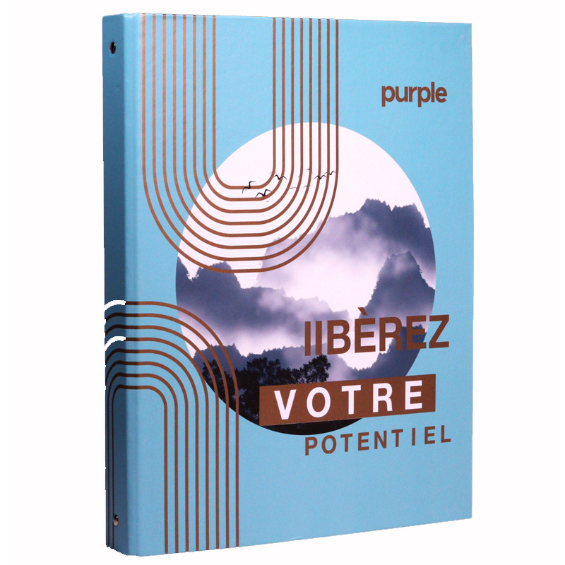 Classeur Purple Fantaisie A4 à 4 anneaux Dos 3Cm Assorties En Tunisie