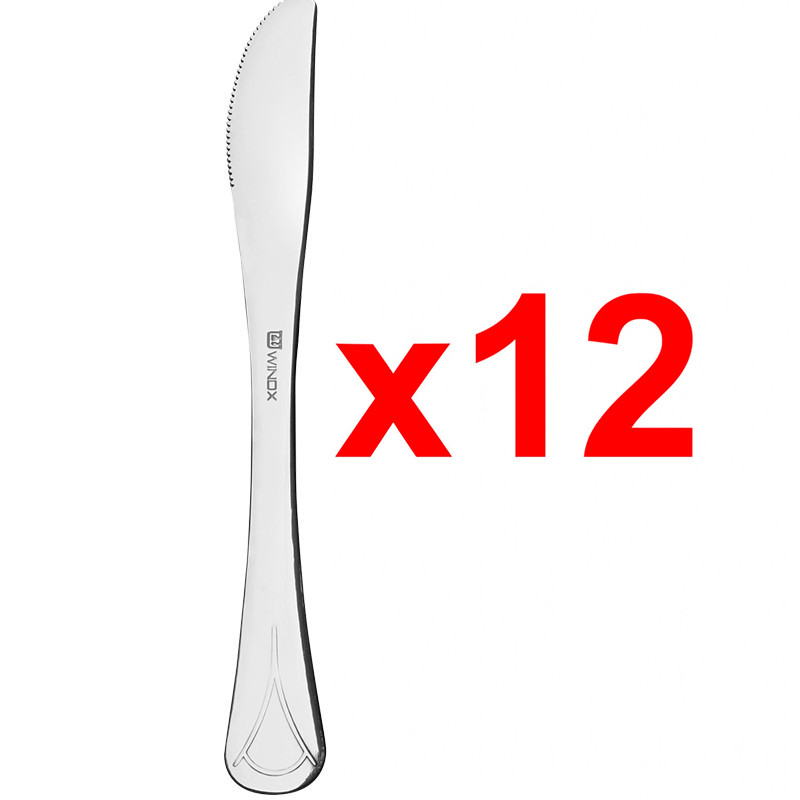 Etui Couteaux De Table Winox César 12 Pièces Inox Etui Couteaux De Table Winox César 12 Pièces Inox
