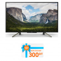 Téléviseur Sony 50" Full HD Smart Noir (50WF665)