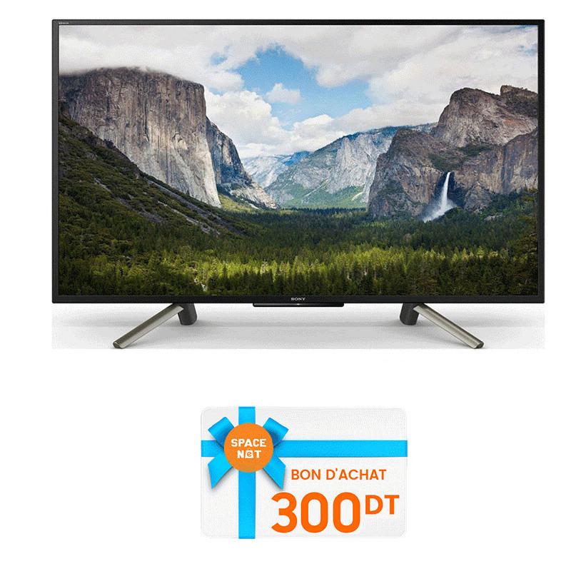 Téléviseur Sony 50" Full HD Smart Noir (50WF665)