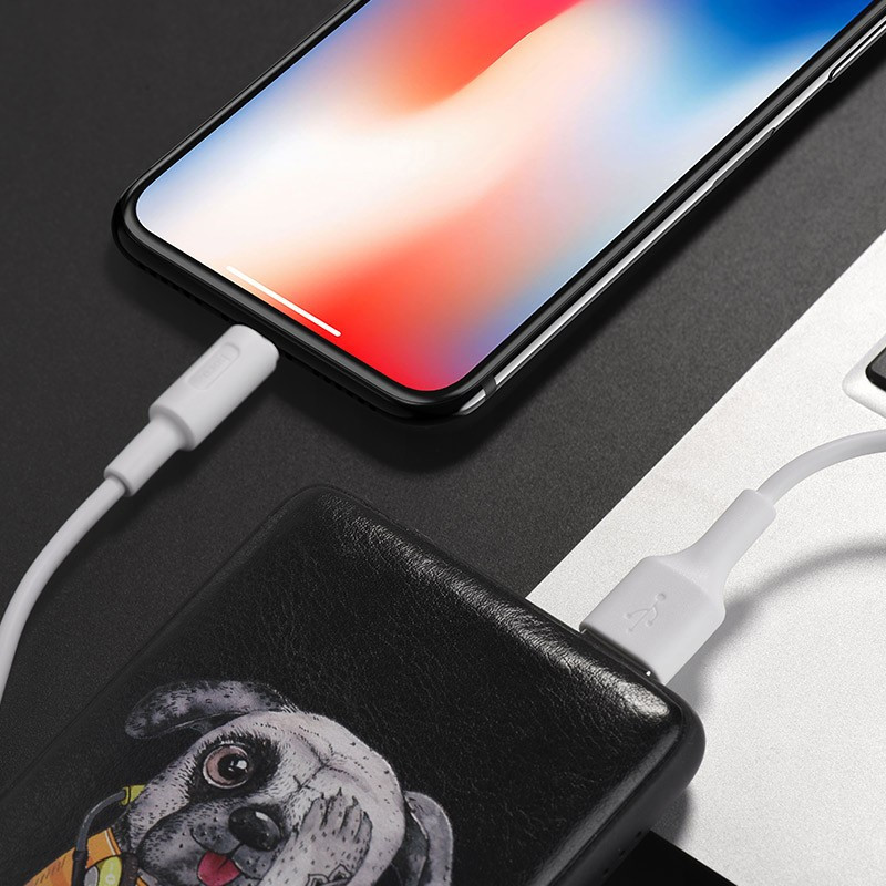 Câble Chargeur Hoco X25 Lightning 10W Blanc En Tunisie