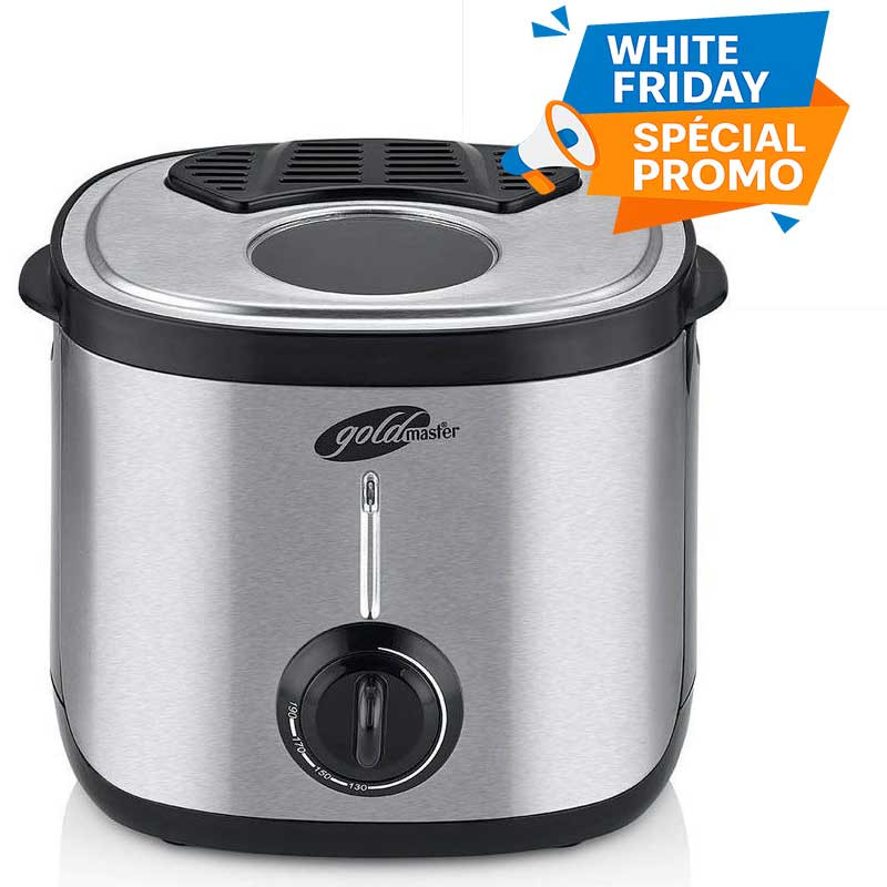 Friteuse GOLD MASTER 1200W Silver GM-419