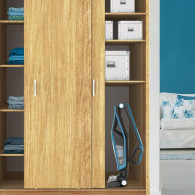 Aspirateur Balai Sans Fil Rowenta Dual Force 2-EN-1 Bleu en Tunisie