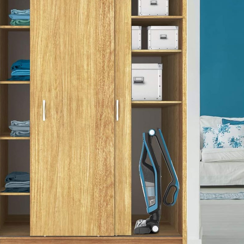 Aspirateur Balai Sans Fil Rowenta Dual Force 2-EN-1 Bleu en Tunisie