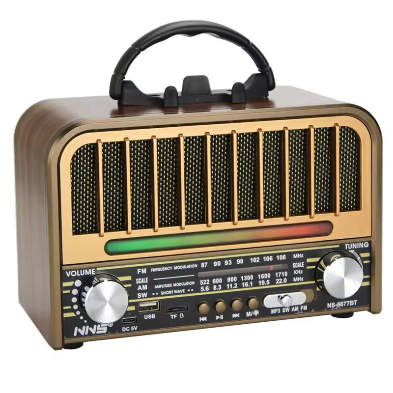 Haut Parleur & Radio FM NS-6677BT 5W Bois En Tunisie