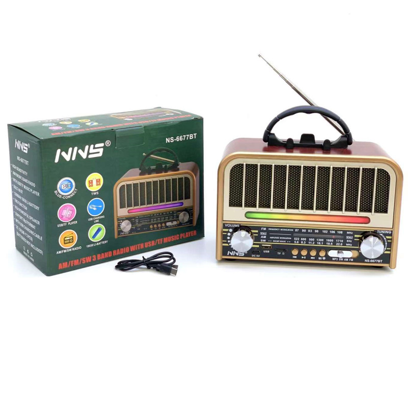 Haut Parleur & Radio FM NS-6677BT 5W Bois En Tunisie