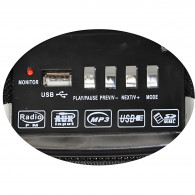 Radio FM Yuegan YG901 1.5W Bois en Tunisie