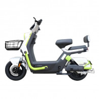 Scooter Électrique Ecoride Alpha 1000 Watts Vert Pistache en Tunisie