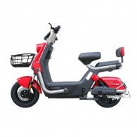 Scooter Électrique Ecoride Alpha 1000 Watts Rouge