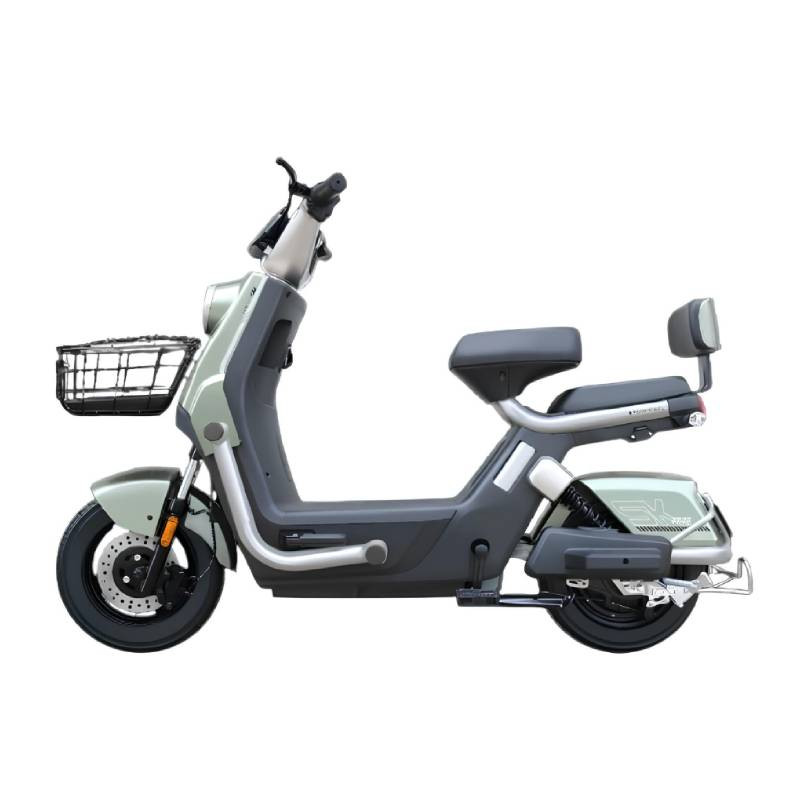 Scooter Électrique Ecoride Alpha 1000 Watts Vert Claire en Tunisie