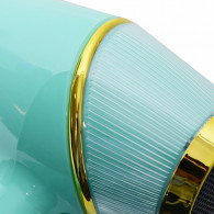 Sèche Cheveux Professionnel Florence HK460 2200W Vert En Tunisie