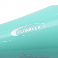 Sèche Cheveux Professionnel Florence HK460 2200W Vert En Tunisie