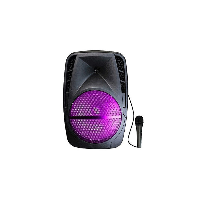 HAUT PARLEUR SPARK BLUETOOTH F25M-1