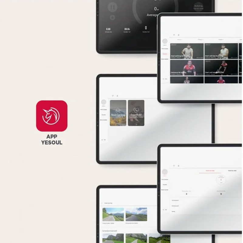 Vélo Intérieur Spinning Bike Indoor Smart Orbsinder Yesoul S3 Noir en Tunisie