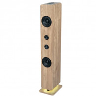 Haut Parleur Bluetooth Thomson DS702 120W Bois