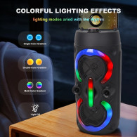 Enceinte Bluetooth ZQS 4292 Avec Microphone 16W Noir en Tunisie