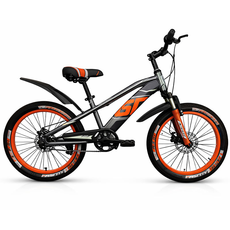 Bicyclette Best Bike Philips P-313 20″ Gris en Tunisie